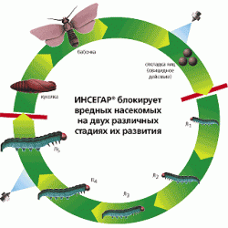 ИНСЕГАР, ВДГ