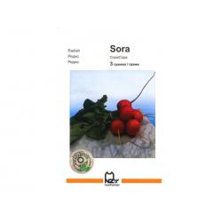 Сора / Sora
