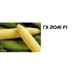 Сахарная кукуруза ГХ 2041 F1 / GH 2041 F1