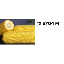 Сахарная кукуруза ГХ 5704 F1 / GH 5704 F1