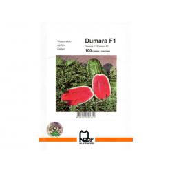 Думара F1 / Dumara F1