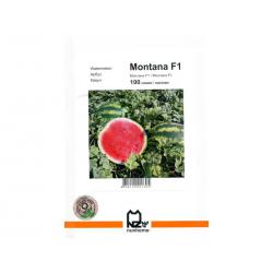 Монтана F1 / Montana F1