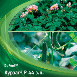 Фунгициды Курзат P 44