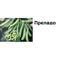 Горох овощной Преладо / Prelado