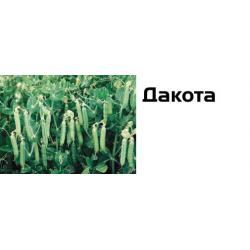 Горох овощной Дакота / Dacota