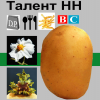 Талент / Talent