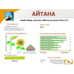 Подсолнечник Семена подсолнечника Альбатр/ALBATRE