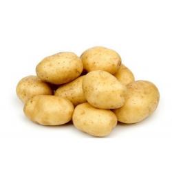 Разное Картофель семенной Вега 1 РС