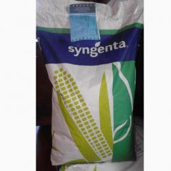 Кукуруза Семена гибридов кукурузы (Рioneer, NS, Monsanto, Limagrain, Singenta, Еuralis)