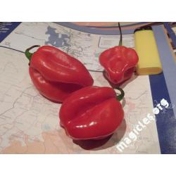 Перец Red Savina Habanero