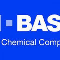 Гербицид Евролайтинг купить от компании Басф (Basf) Имазапир (15 г/л) и имазамокс (33 г/л)